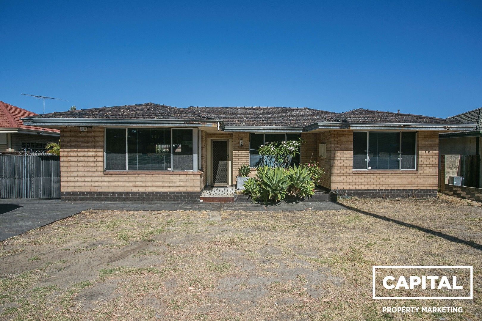 229 Harborne Street, Wembley WA 6014 Domain