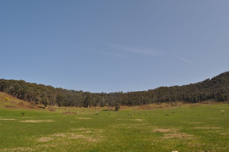 . Smythes Road, Eskdale VIC 3701, Image 2