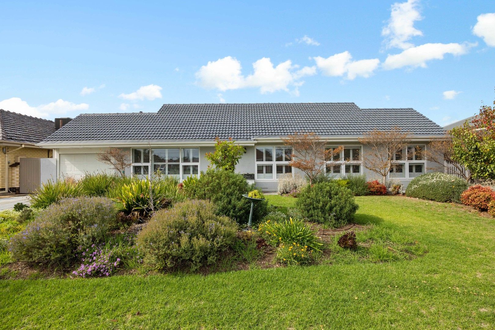 19 Montana Drive, Novar Gardens SA 5040 House For Rent Domain