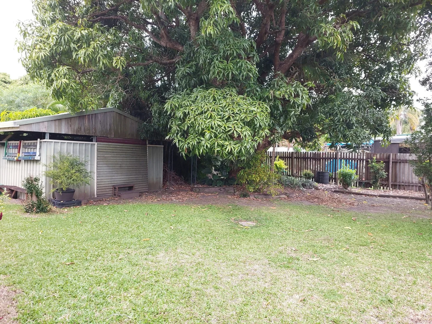 Image 14