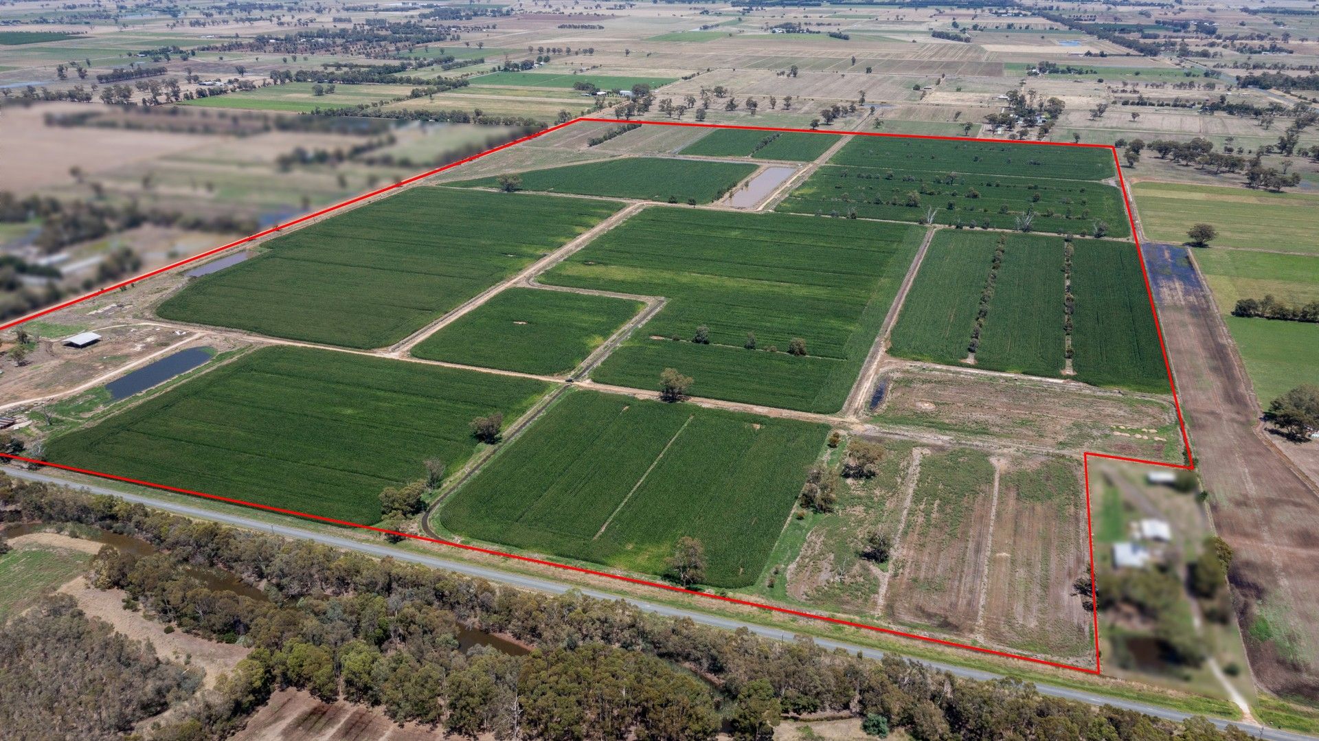 Specialist Farm in 210 Collie Road, HARSTON VIC, 3616