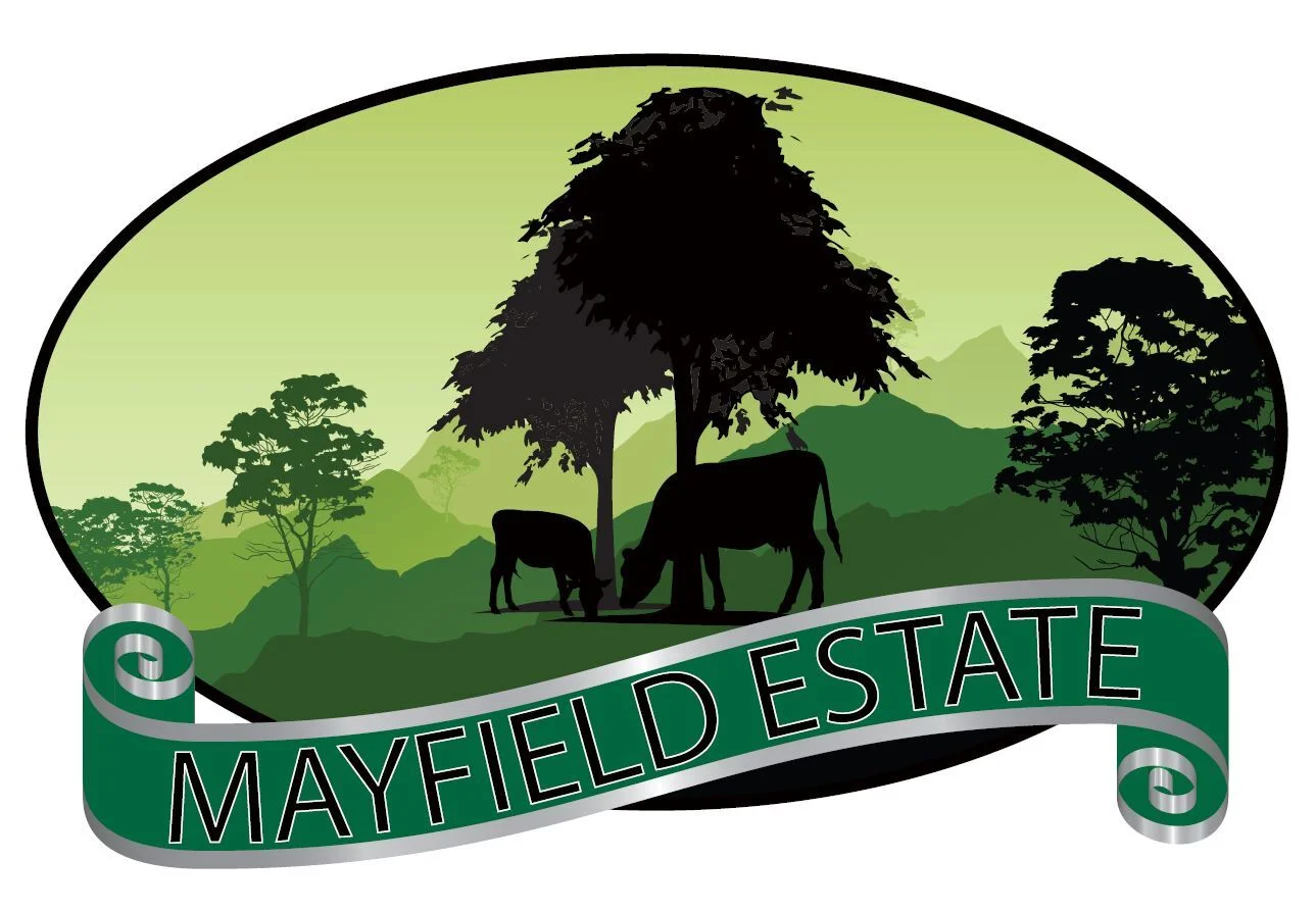 Additional image 4 of 33 Howard Court, Kyogle NSW 2474