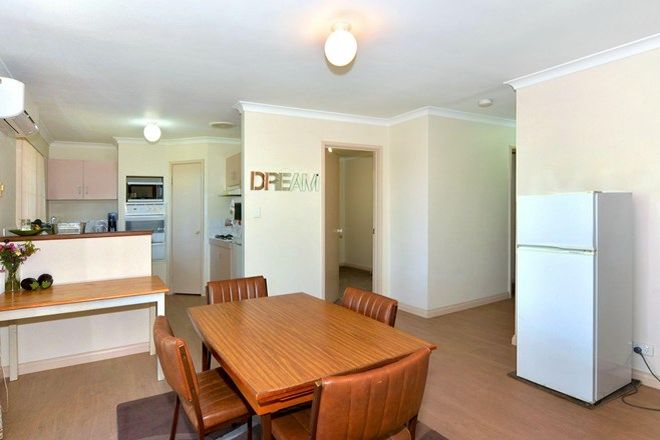 Picture of 1/95 Clarke Street, SOUTH BUNBURY WA 6230