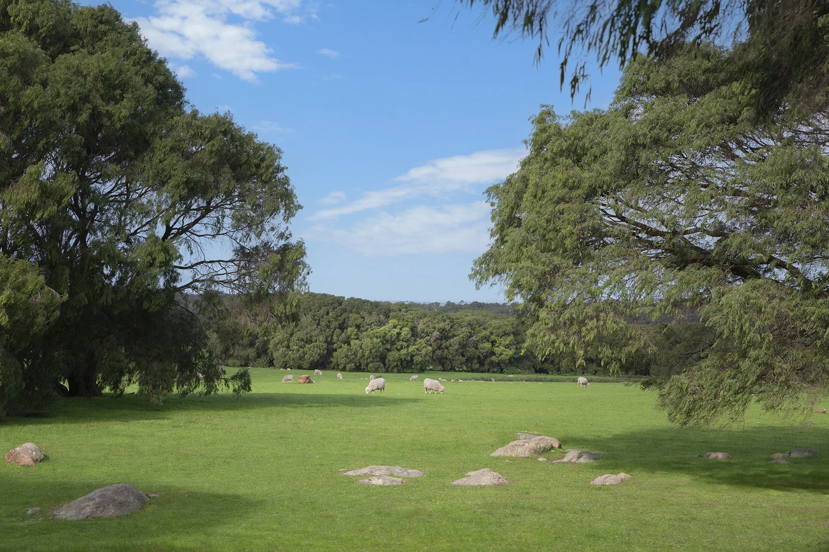 Additional image 4 of Lot 41 Blackwood Grove, Kudardup WA 6290