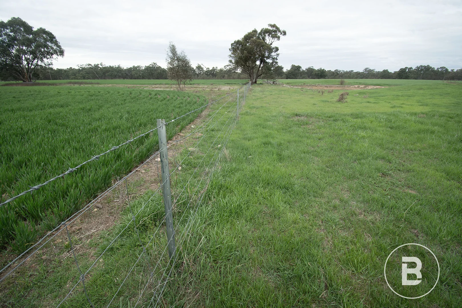 Image 14