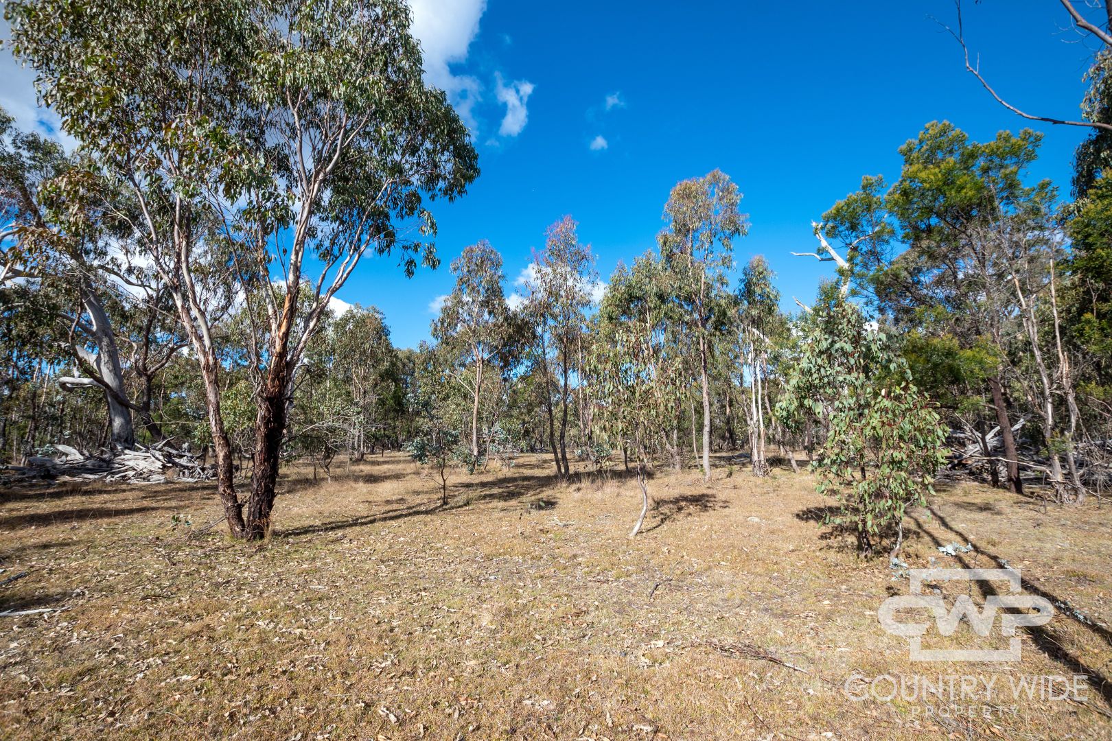 61 Catarrh Creek Road, Torrington NSW 2371, Image 2