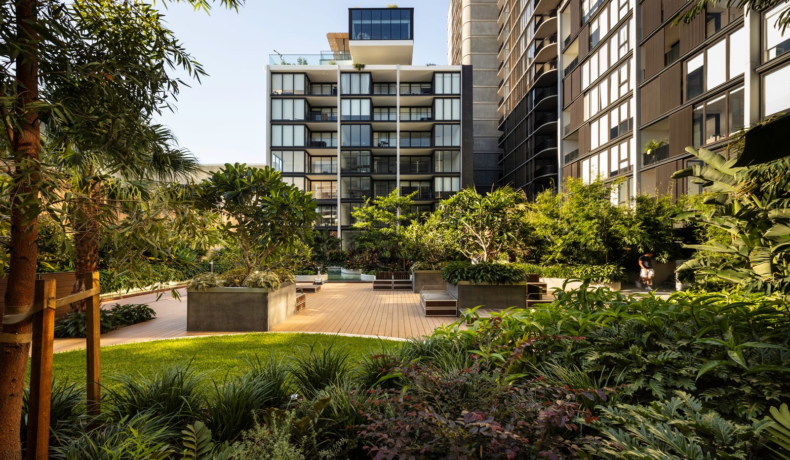 Waterfall Waterloo 21 Dunkerley Place, Waterloo, NSW 2017 Domain