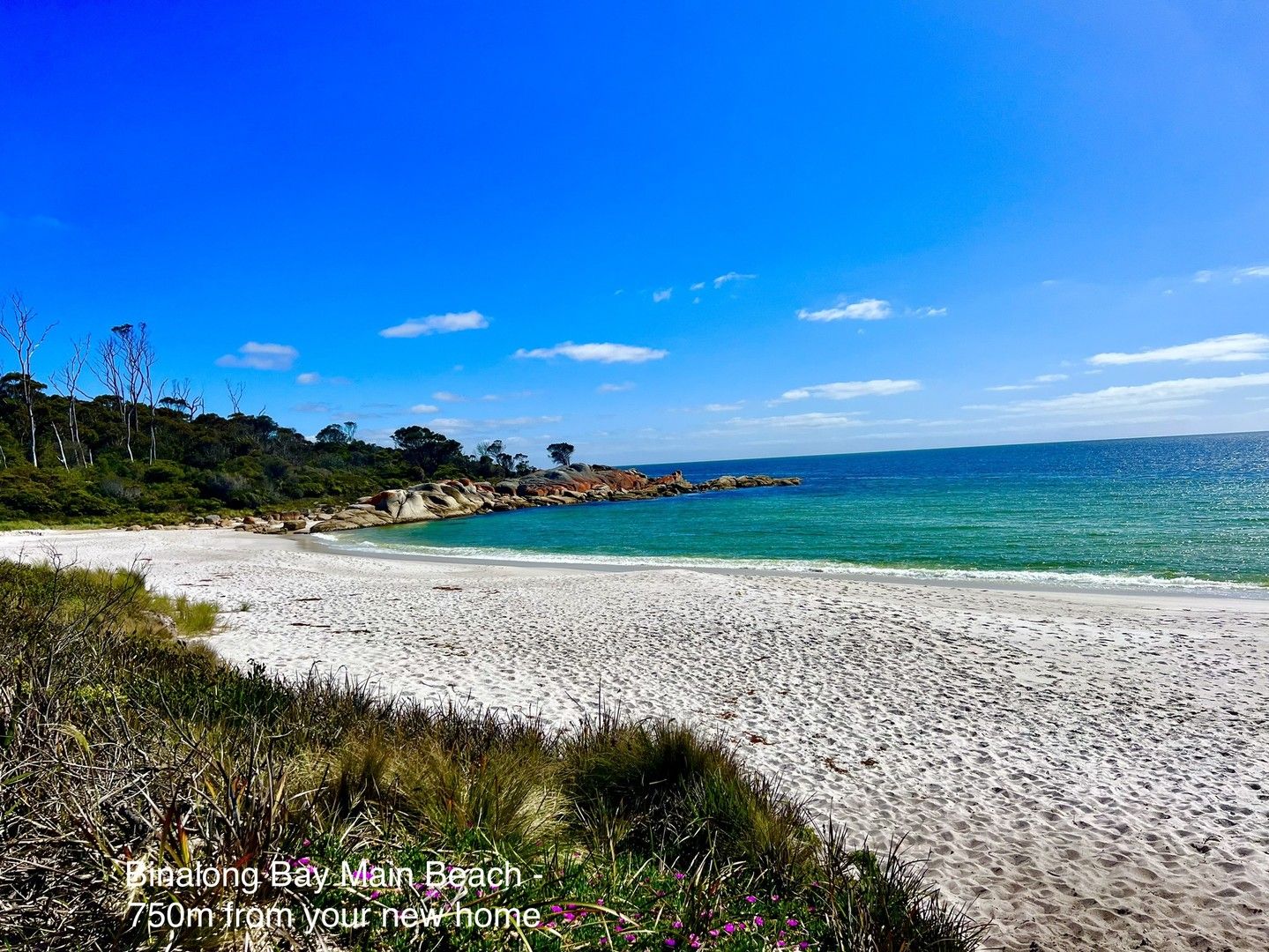 238 Gardens Road, Binalong Bay TAS 7216 Domain