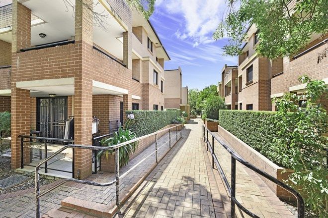 1195 Rental Properties In Homebush West Nsw 2140 Domain