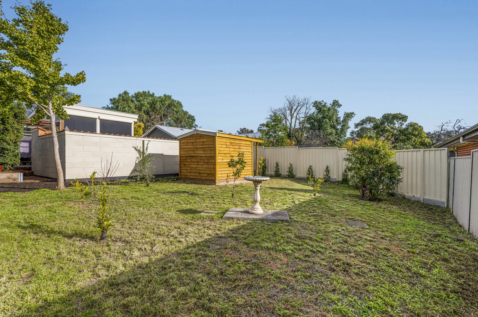 Image 32