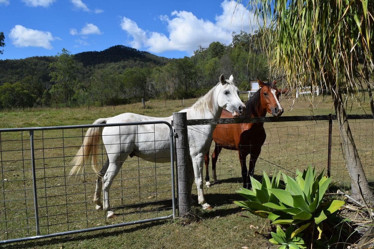 1212 Wild Pig Creek Road, Undullah Property History & Address