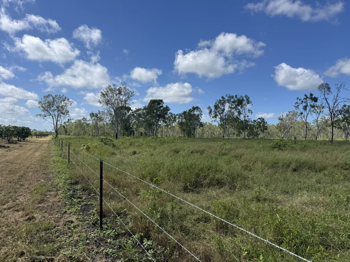 Additional image 5 of Bruce Highway, Guthalungra QLD 4805