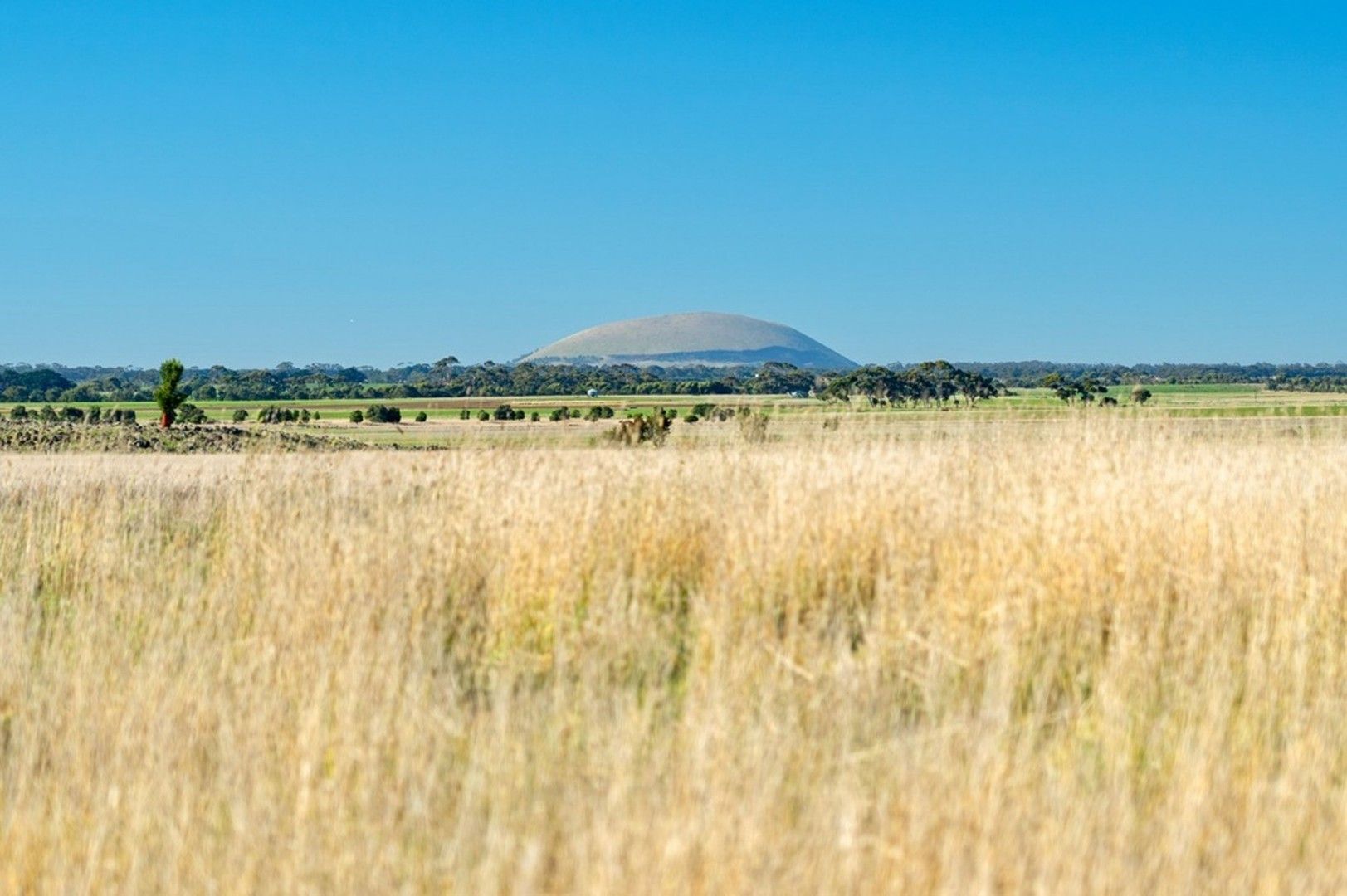 Dundonnell-Derrinallum Road, Dundonnell VIC 3271, Image 1