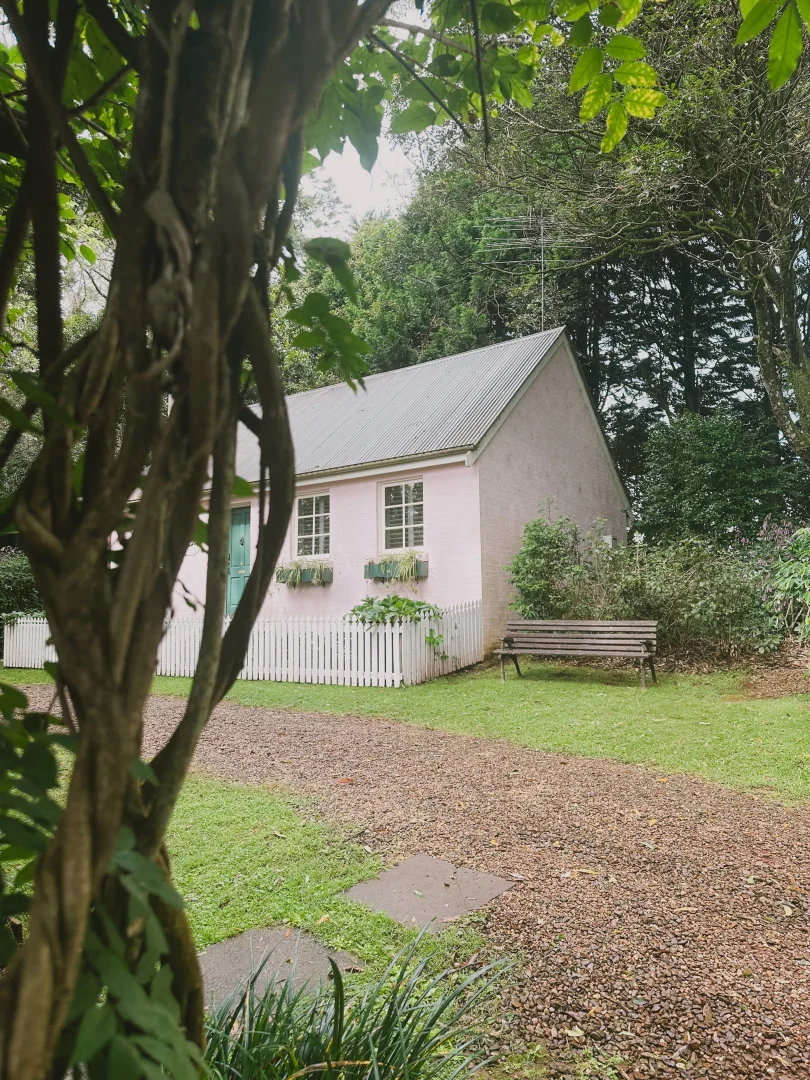 Image 12