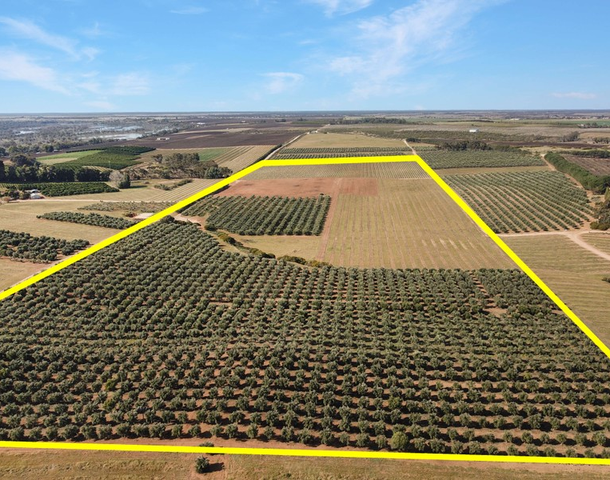 Lot 22 Carter Road, Taylorville SA 5330