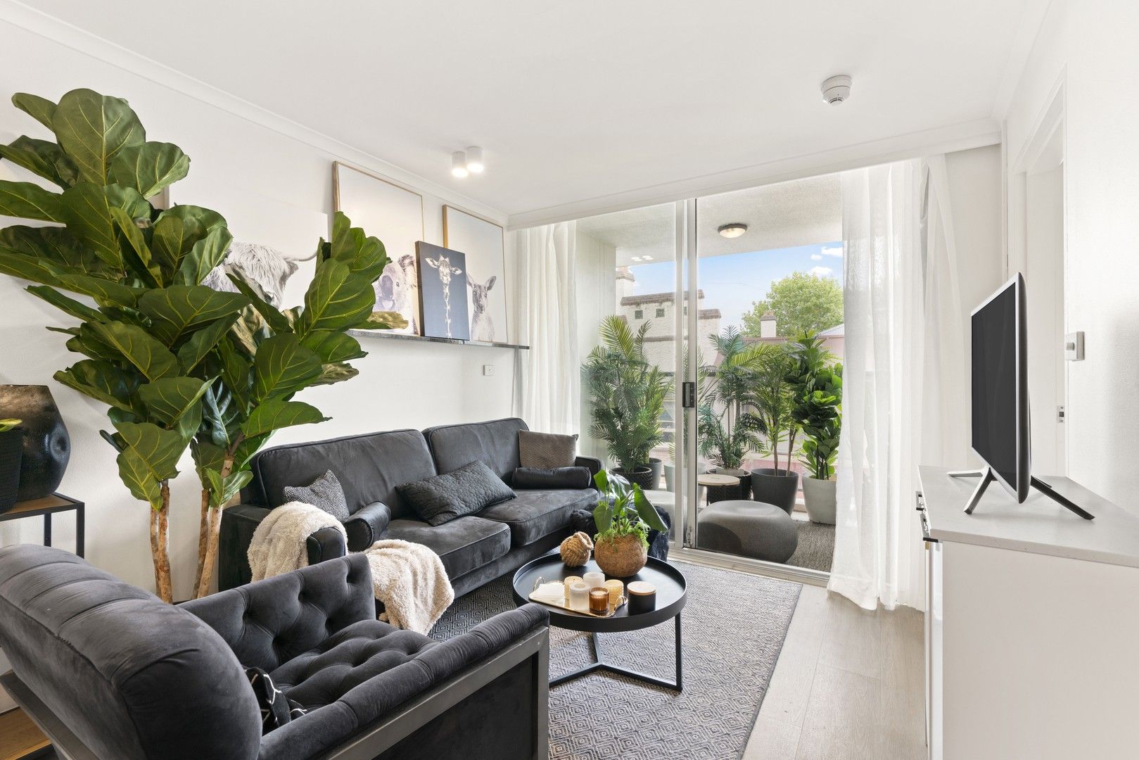 1 bedrooms Apartment / Unit / Flat in 303/47-49 Chippen Street CHIPPENDALE NSW, 2008