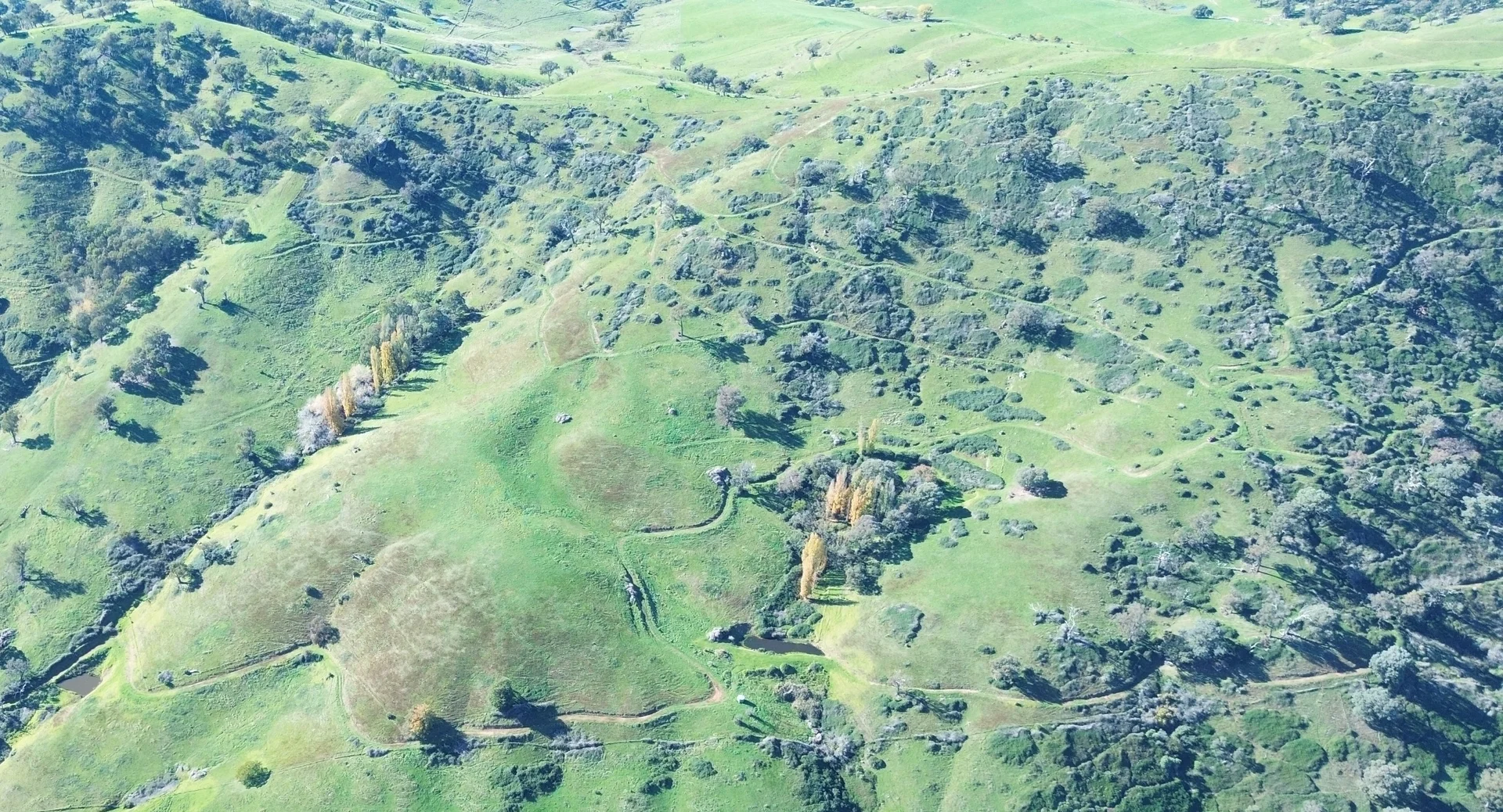 Image 22