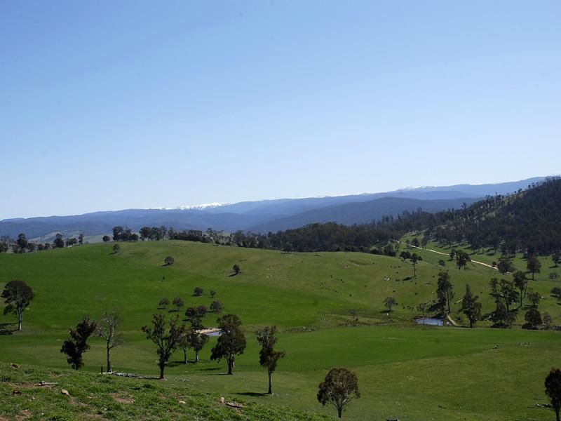 Lot 3/227 High Forest Road, Mt Maid, OMEO VIC 3898, Image 0