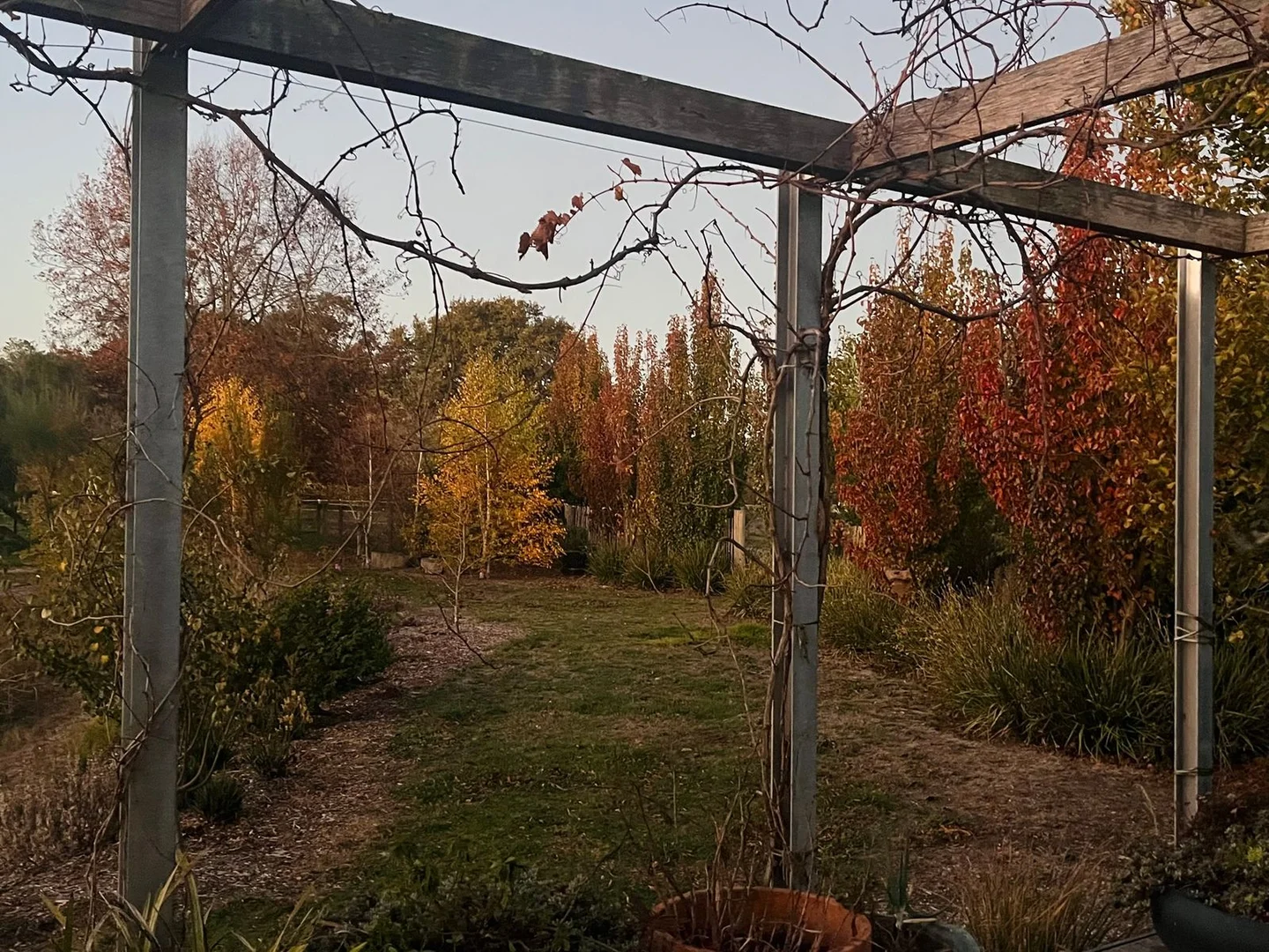 Image 31