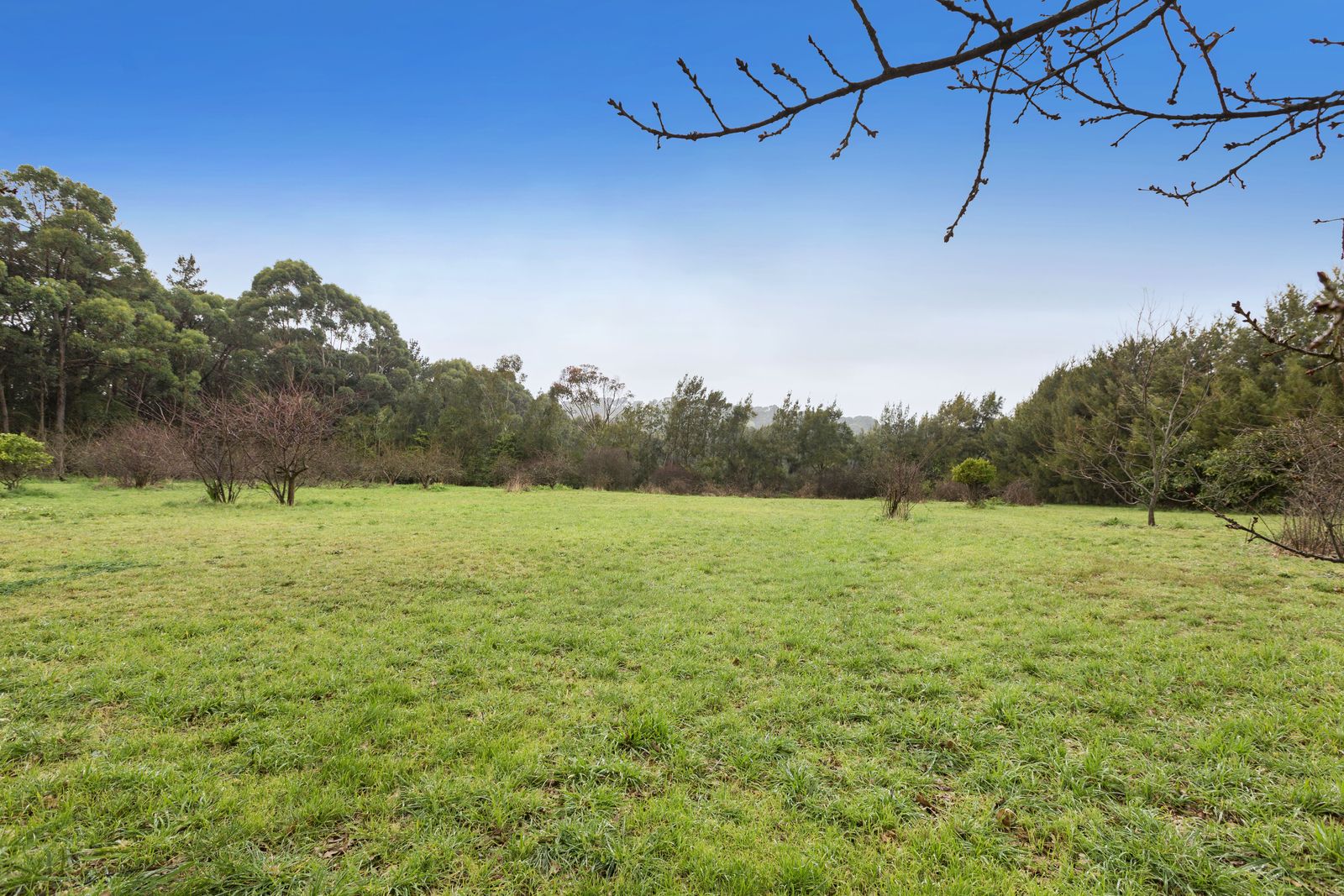 Eston Grange/1413 Mornington-Flinders Road, Main Ridge VIC 3928, Image 2