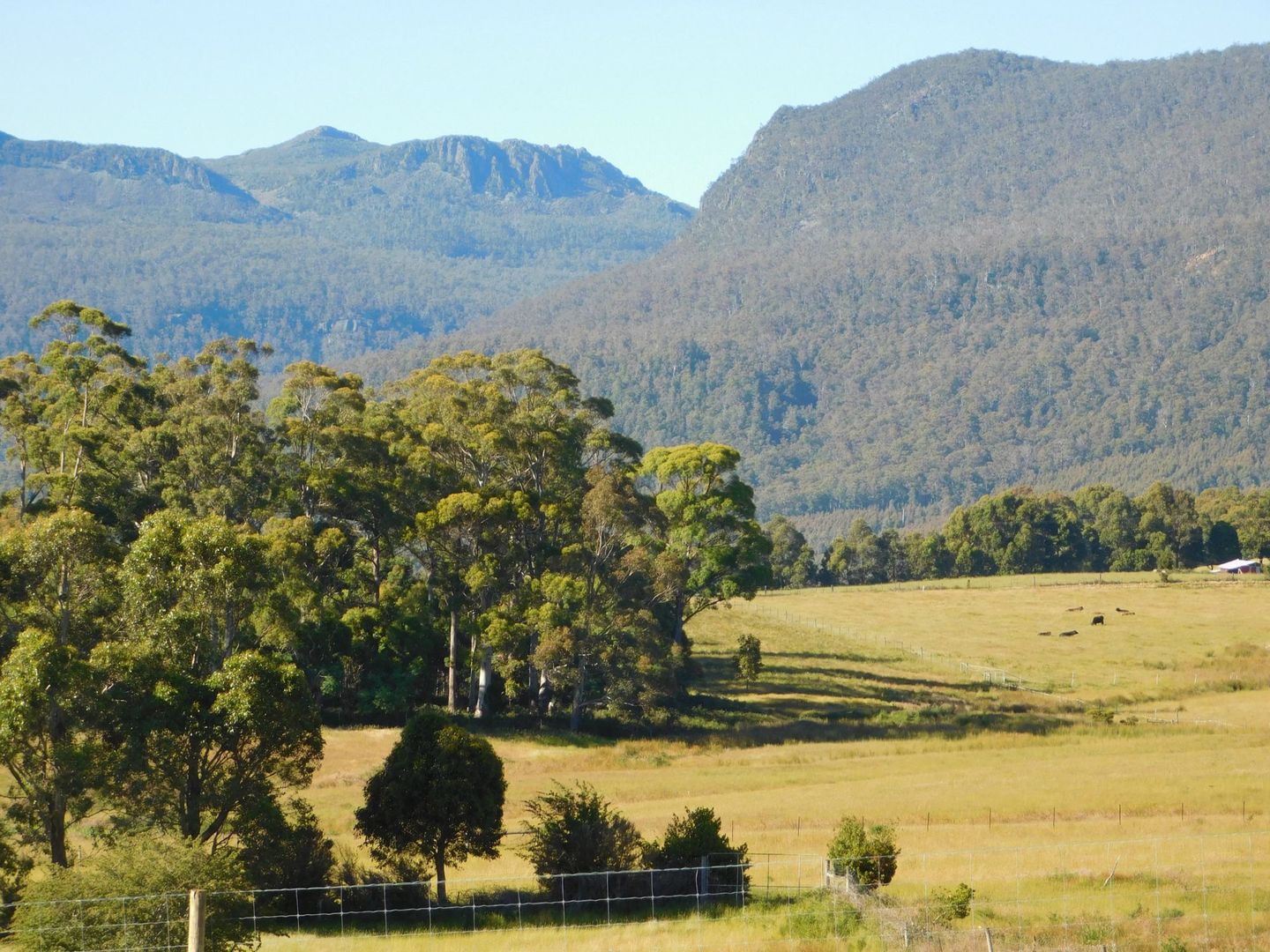 78 Hop Valley Road, Blackwood Creek TAS 7301, Image 2