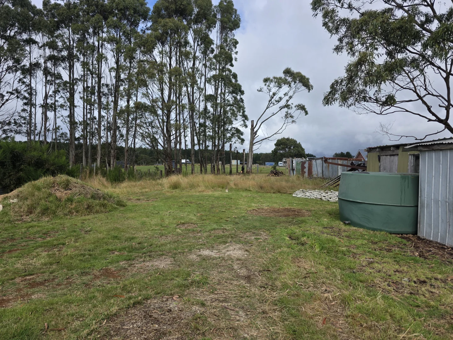 Additional image 24 of 6 Sprent Street East, Waratah TAS 7321