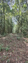 Image 13