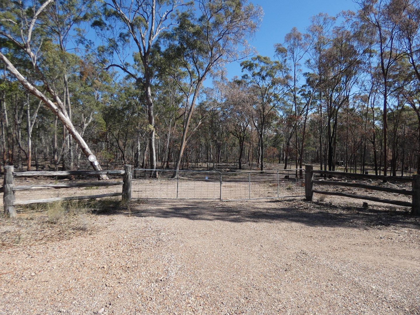 Leyburn QLD 4365, Image 0