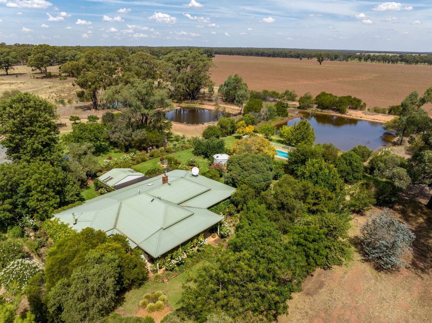 969 Thanowring Road, Temora NSW 2666, Image 2