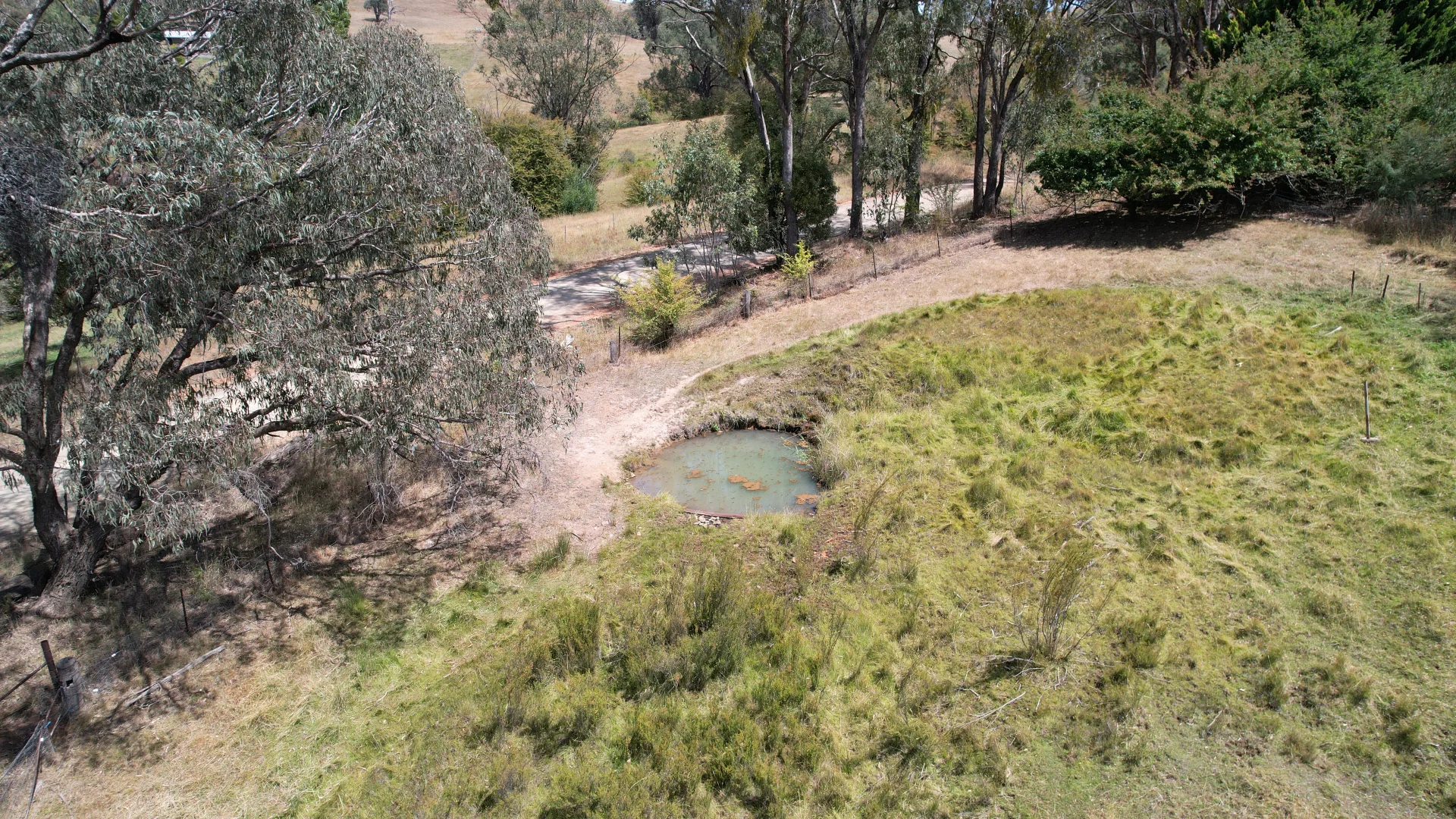 Image 14