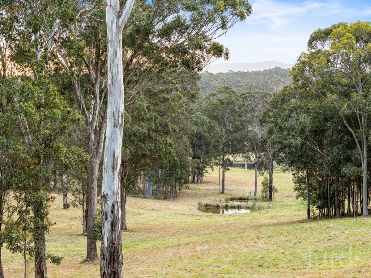 Quorrobolong NSW 2325, Image 0