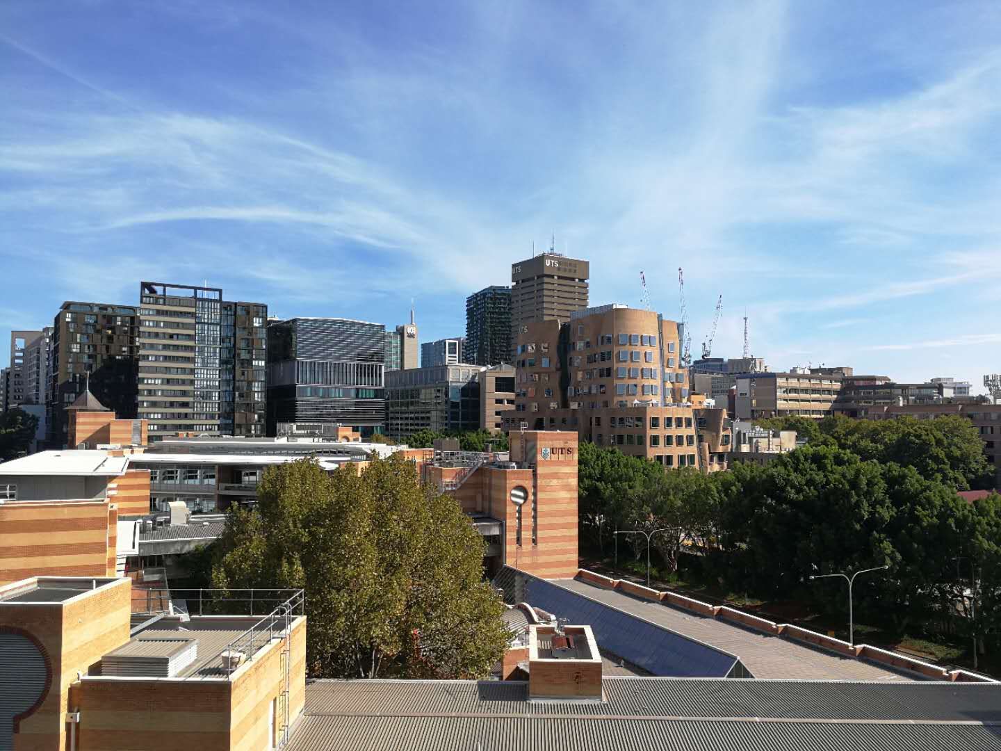 1 bedrooms Apartment / Unit / Flat in 3079/65 Tumbalong Boulevard HAYMARKET NSW, 2000