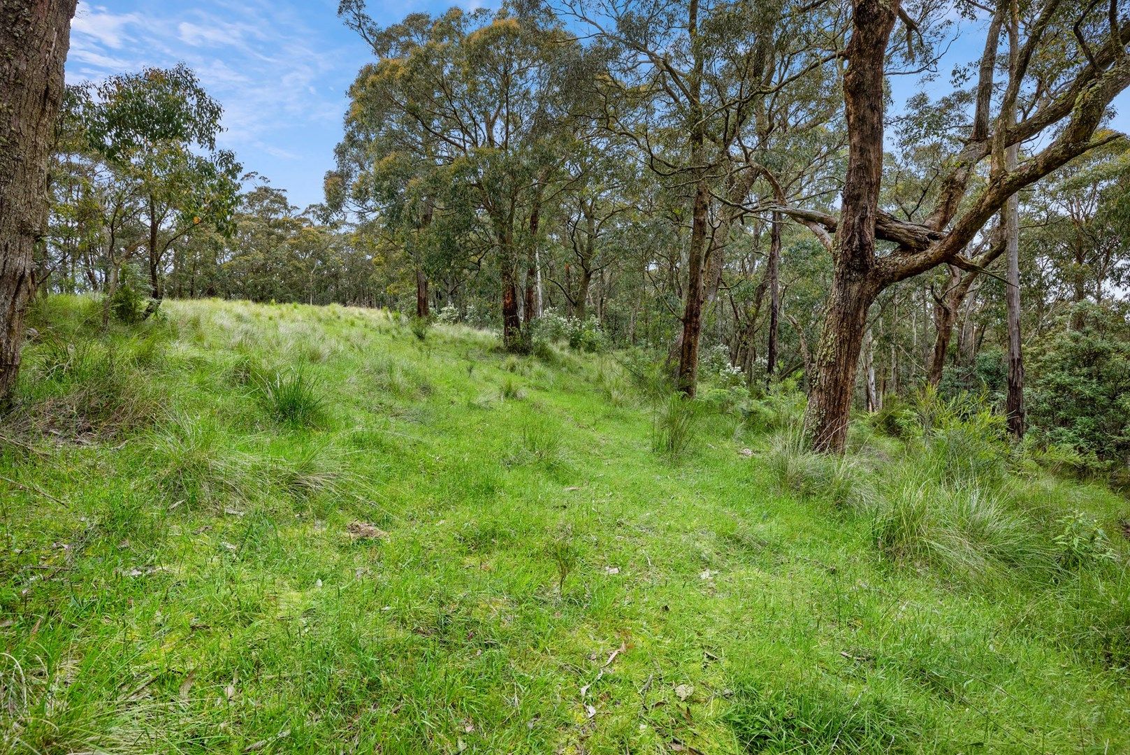 125 Marks Track, Deans Marsh VIC 3235, Image 0