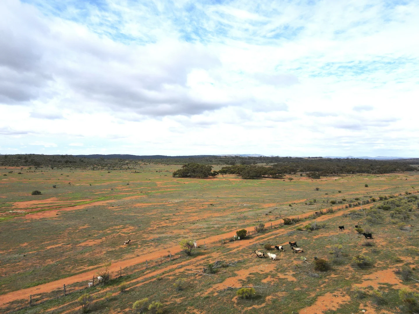 Image 10