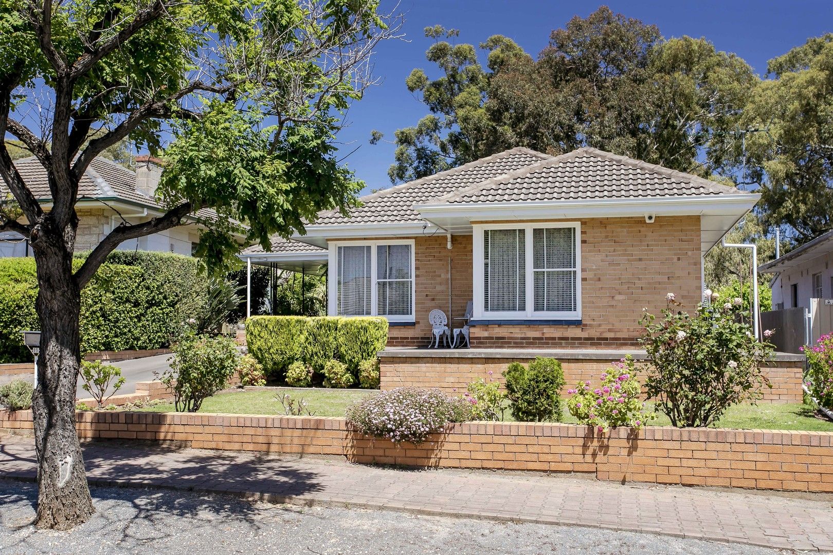 13 Boothby Street, Panorama SA 5041, Image 0