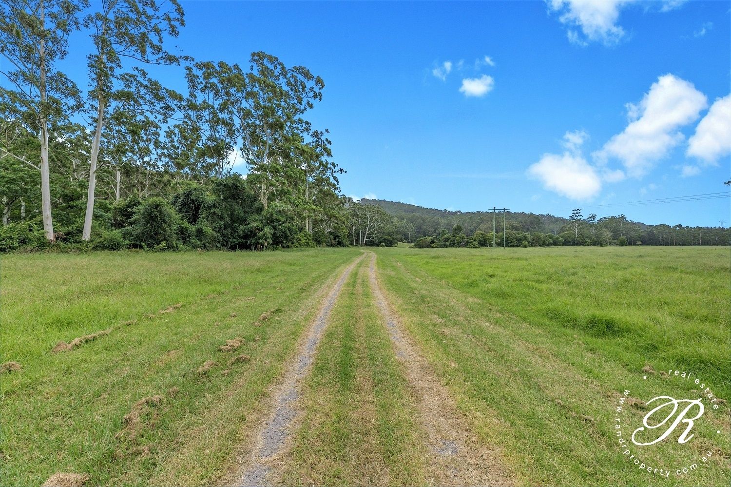 124 Dog Hole Road, Stockrington NSW 2322, Image 2