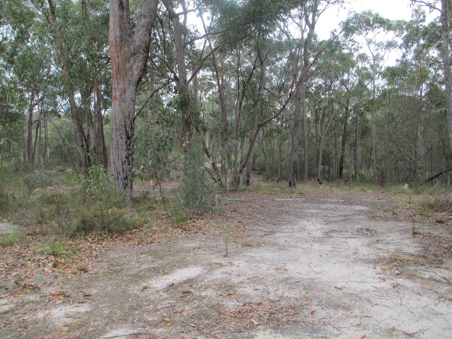 Lot 26 Pollwombra Road, Moruya NSW 2537, Image 0