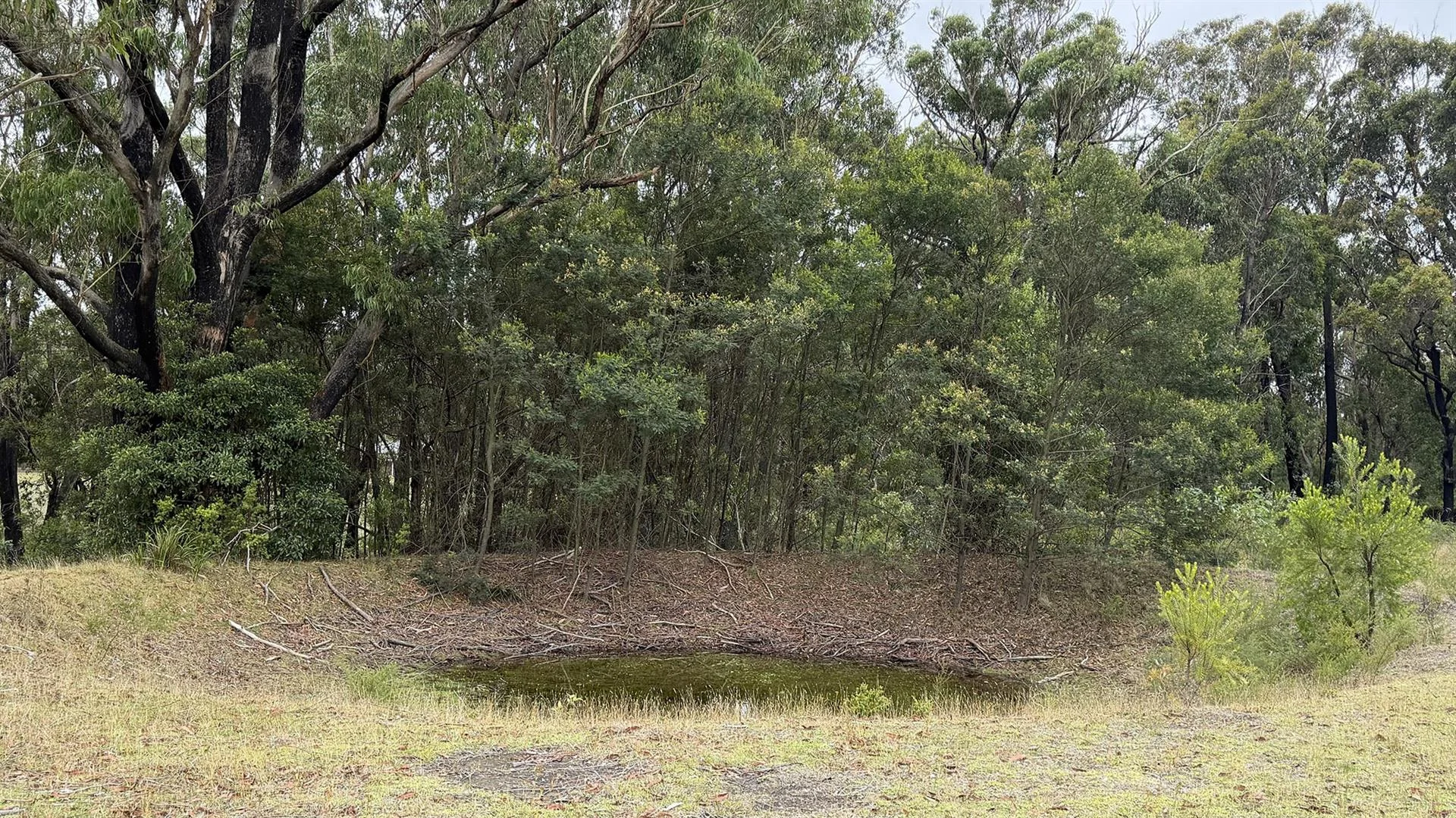 Image 11