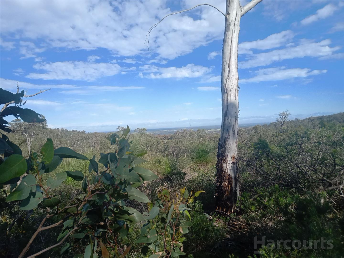 Lot 804 Brook Lookout, North Dandalup WA 6207, Image 2