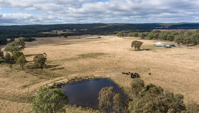 Picture of 962 Blue Springs Road Cope, GULGONG NSW 2852