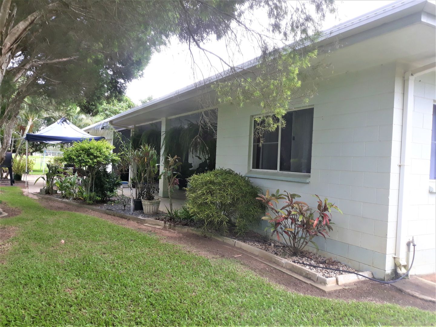 Mareeba QLD 4880 House for Sale 900,000 Domain