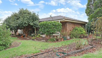 Picture of 1179 Cobden-Stonyford Road, SOUTH PURRUMBETE VIC 3260