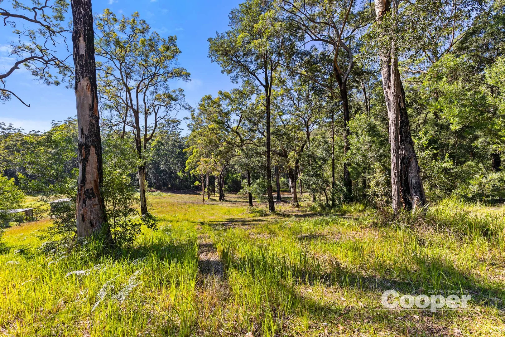 Additional image 10 of 56B Kingiman Road, Woodburn NSW 2538