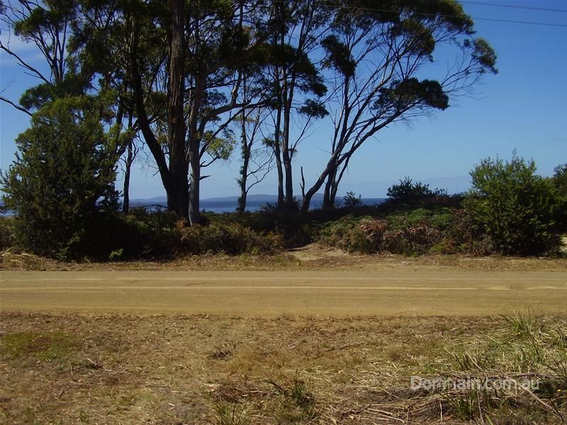 21 Big Roaring Beach Road, Surveyors Bay TAS 7116, Image 2