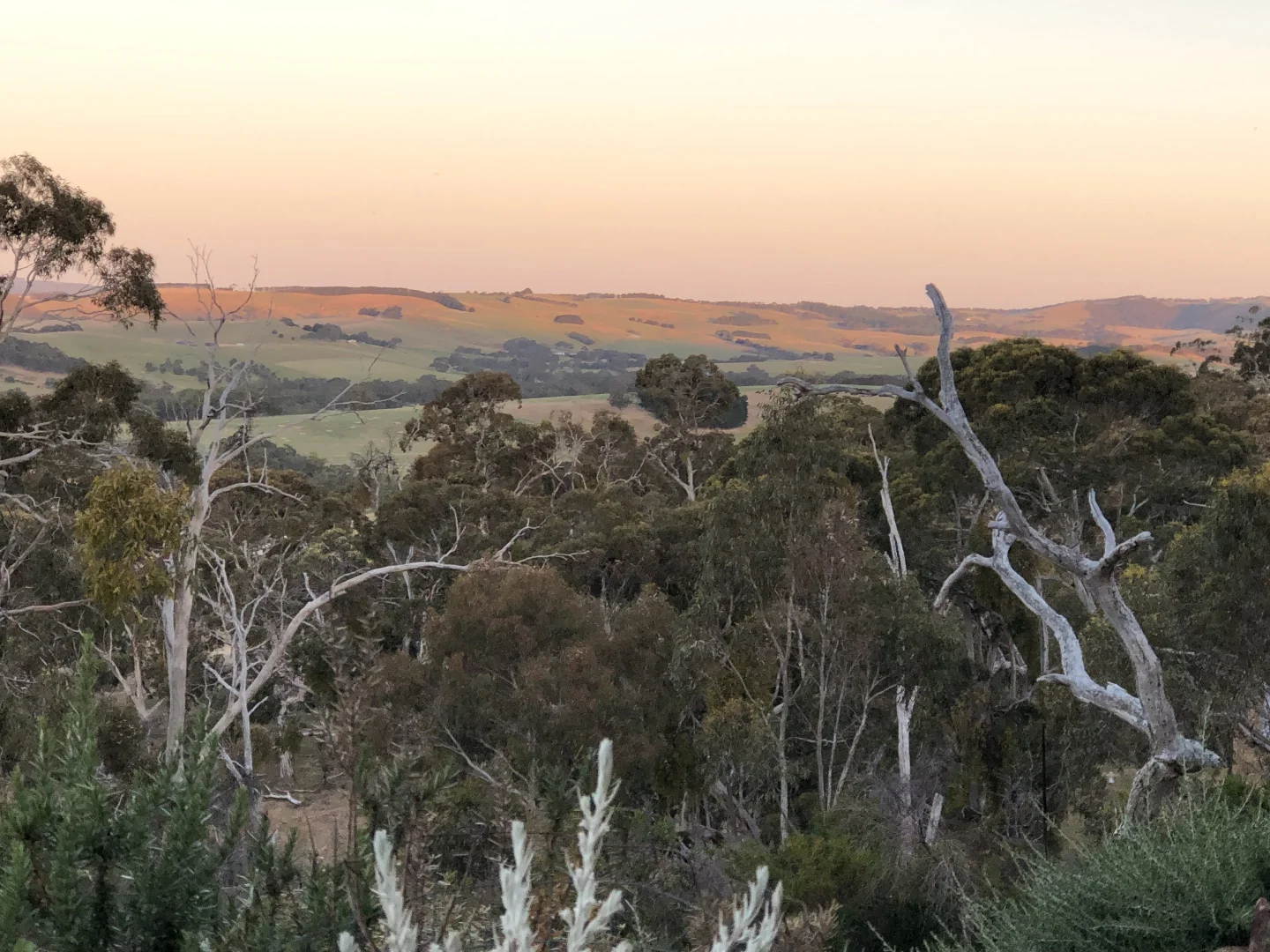 Additional image 31 of 113 Maple Lane, Hay Flat SA 5204