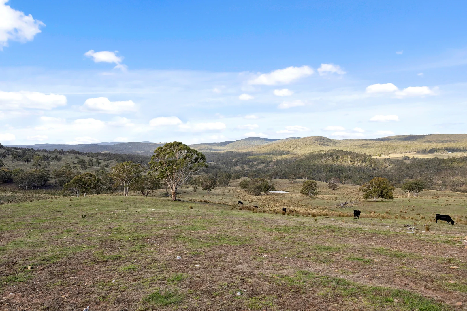 Additional image 26 of 507 Harolds Cross Road, Braidwood NSW 2622