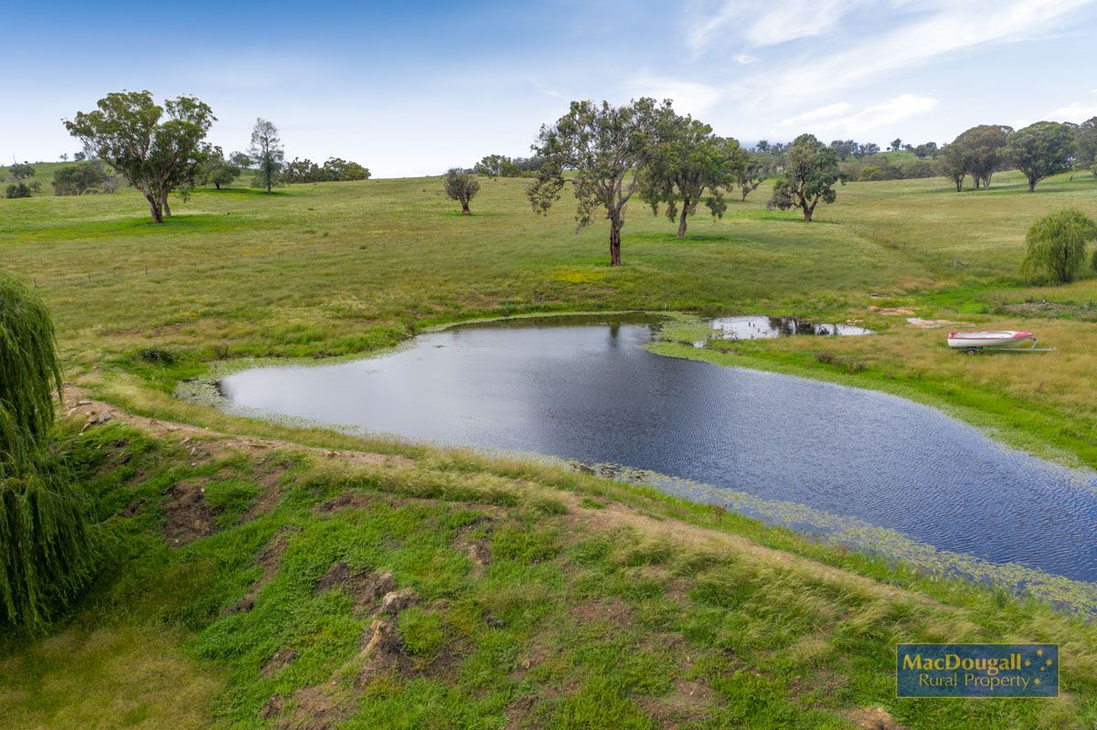 628 Warrabah Road, Uralla NSW 2358, Image 2