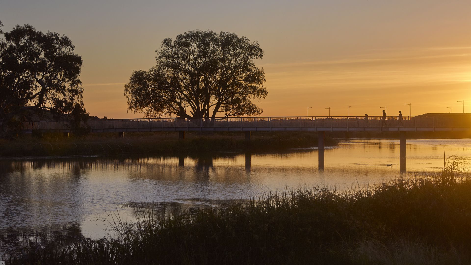 Harpley Ison Rd, Werribee, VIC 3030 Domain