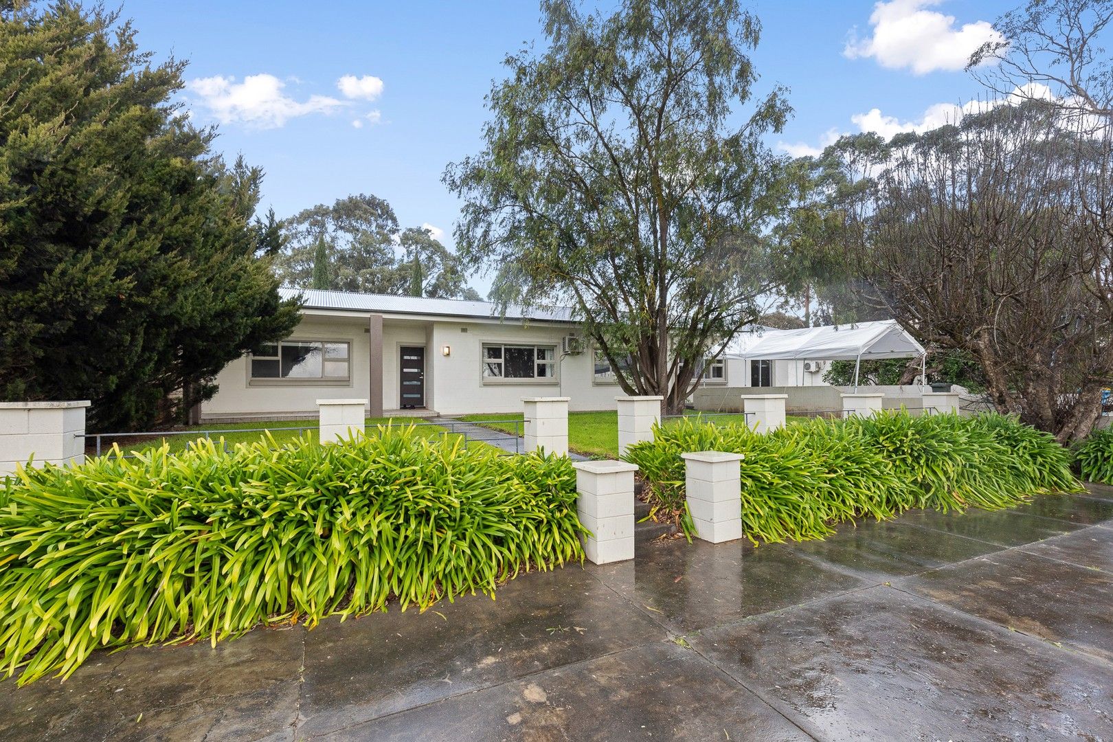 239 Jubilee Highway West, Mount Gambier SA 5290, Image 0