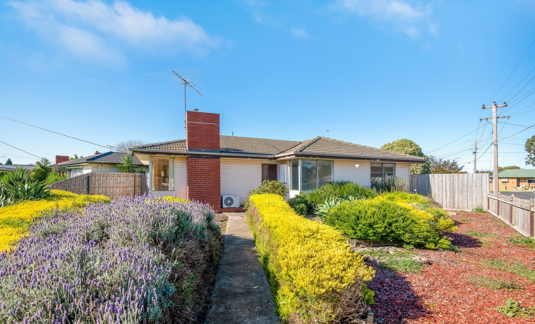 27 Lucas Street, VIC 3219 House For Rent Domain